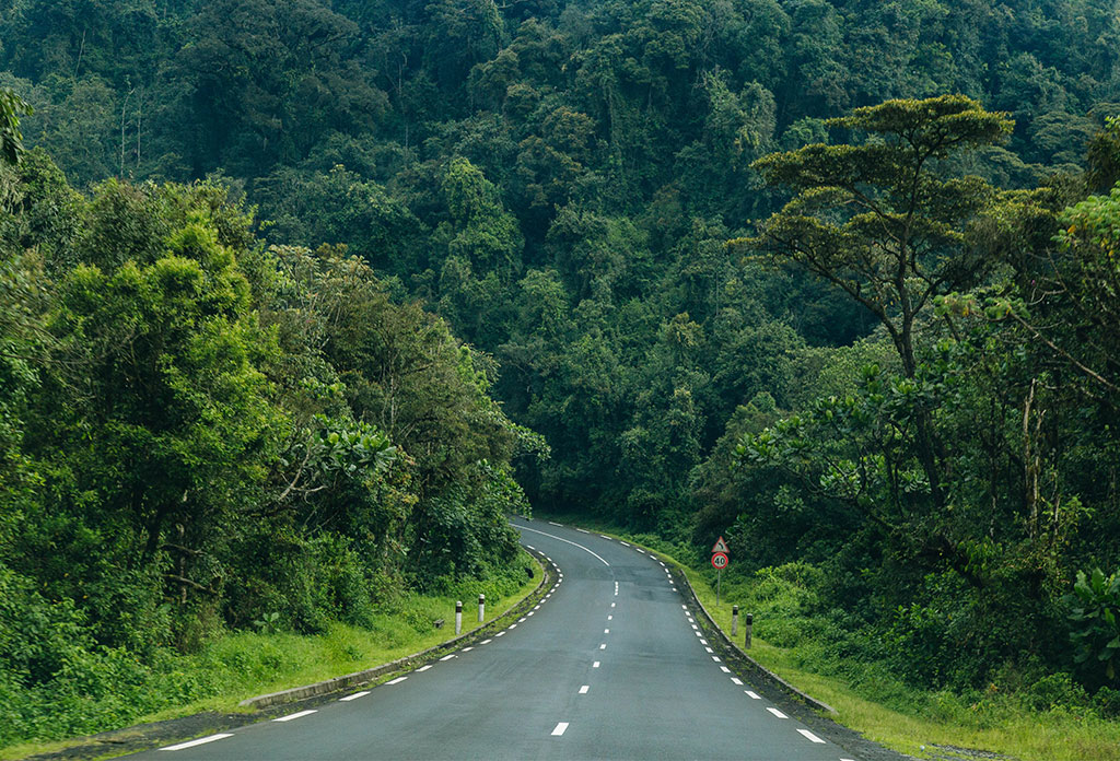 Nyungwe Rwanda Safaris